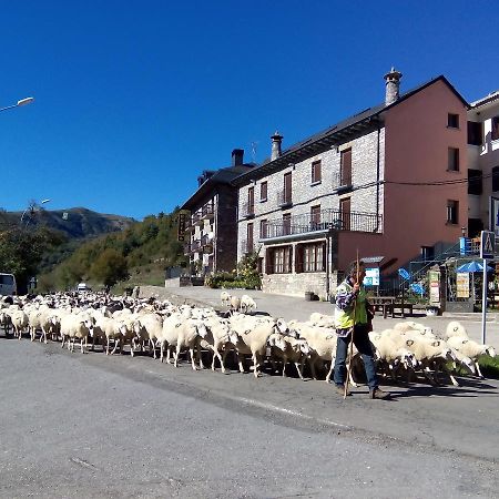 Albergue El Ultimo Bucardo Linás de Broto Dış mekan fotoğraf