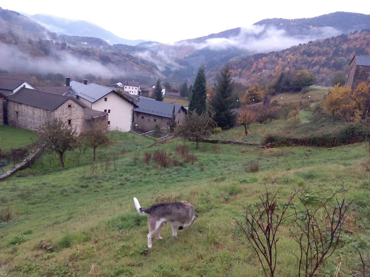 Albergue El Ultimo Bucardo Linás de Broto Dış mekan fotoğraf