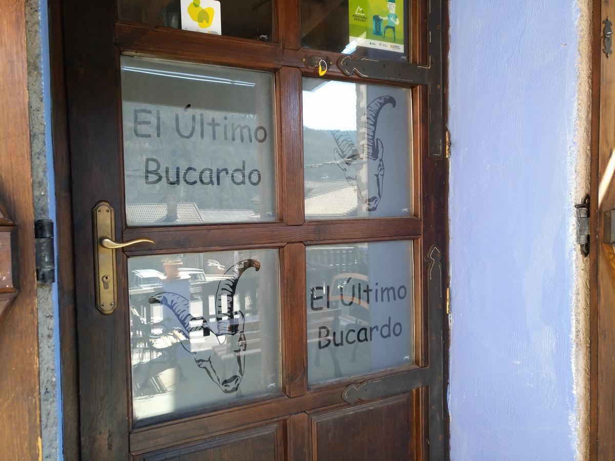 Albergue El Ultimo Bucardo Linás de Broto Dış mekan fotoğraf