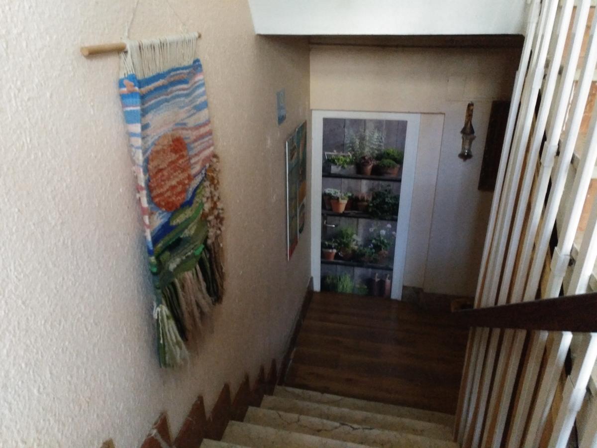 Albergue El Ultimo Bucardo Linás de Broto Dış mekan fotoğraf
